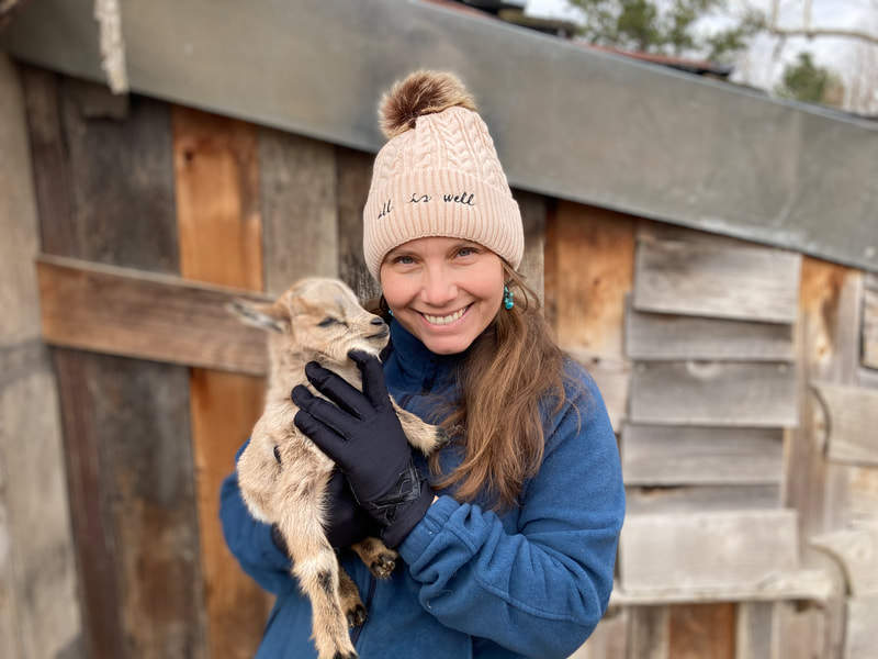 Dockley Ranch baby goats providing an event venue for rustic weddings and country lodging in the Missouri Ozarks Claire Lea wearing hat that reads all is well