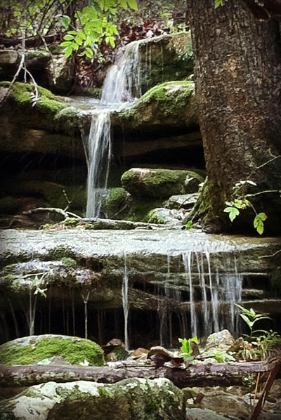 Little streams form tiny waterfalls after a rain in the Missouri Ozarks